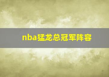 nba猛龙总冠军阵容