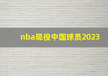 nba现役中国球员2023