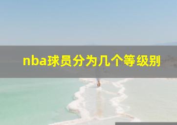 nba球员分为几个等级别