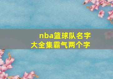 nba篮球队名字大全集霸气两个字