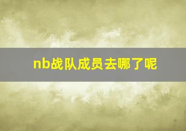 nb战队成员去哪了呢