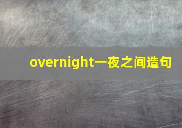 overnight一夜之间造句