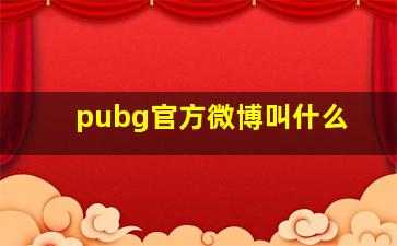 pubg官方微博叫什么