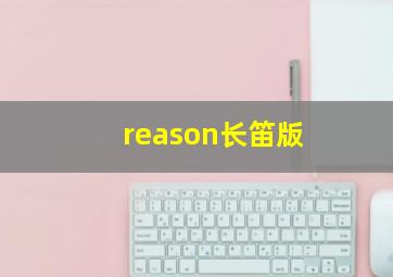 reason长笛版