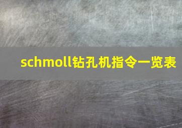 schmoll钻孔机指令一览表