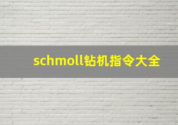 schmoll钻机指令大全