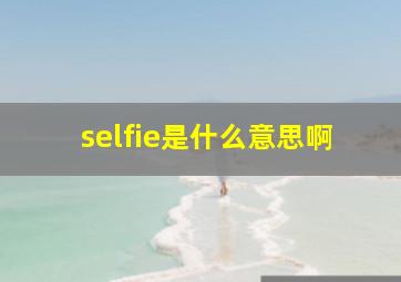 selfie是什么意思啊