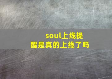 soul上线提醒是真的上线了吗