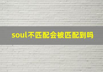 soul不匹配会被匹配到吗