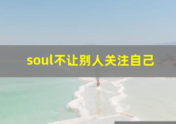 soul不让别人关注自己