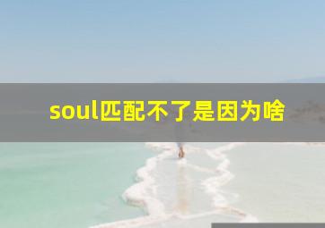 soul匹配不了是因为啥