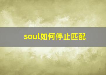 soul如何停止匹配