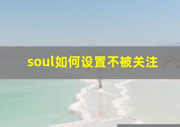 soul如何设置不被关注