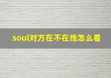 soul对方在不在线怎么看