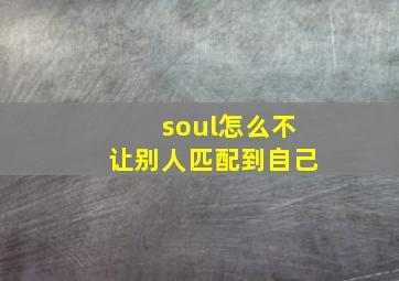 soul怎么不让别人匹配到自己