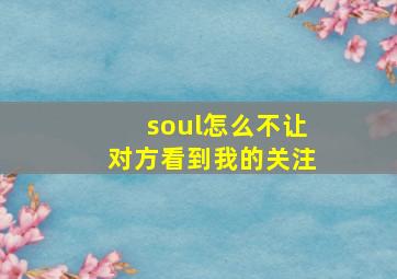 soul怎么不让对方看到我的关注