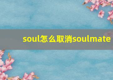 soul怎么取消soulmate