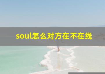 soul怎么对方在不在线