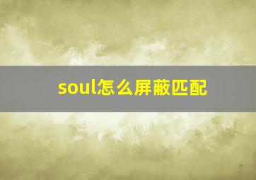 soul怎么屏蔽匹配