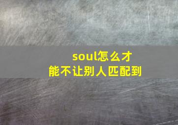 soul怎么才能不让别人匹配到