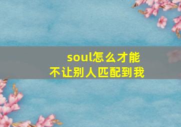 soul怎么才能不让别人匹配到我