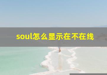 soul怎么显示在不在线