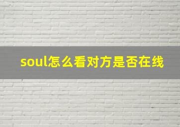 soul怎么看对方是否在线