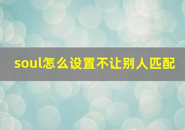 soul怎么设置不让别人匹配