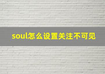 soul怎么设置关注不可见