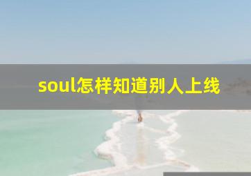 soul怎样知道别人上线