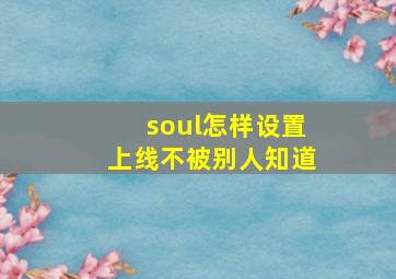 soul怎样设置上线不被别人知道