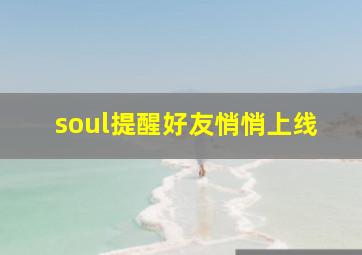 soul提醒好友悄悄上线