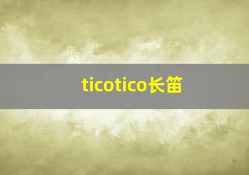 ticotico长笛