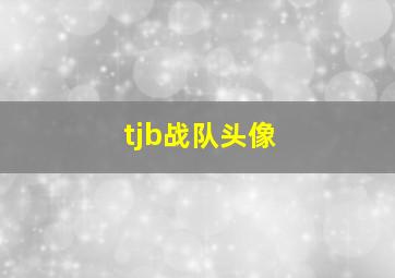 tjb战队头像