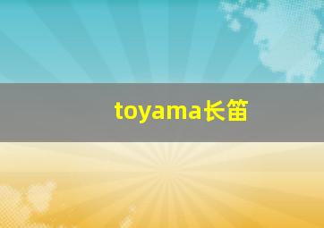 toyama长笛