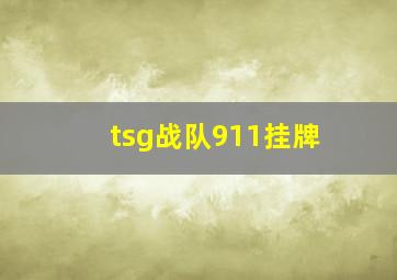 tsg战队911挂牌