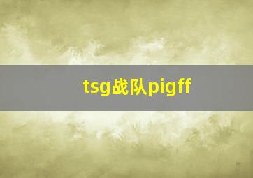 tsg战队pigff