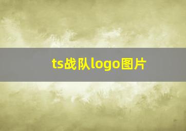 ts战队logo图片