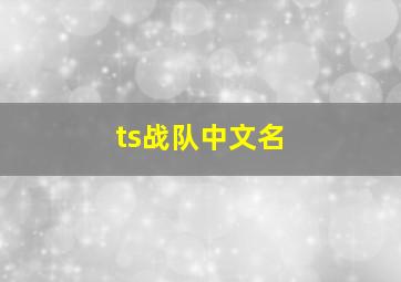 ts战队中文名