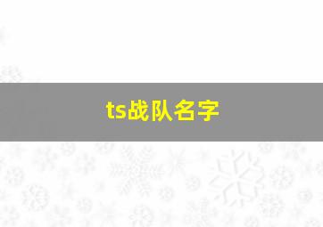 ts战队名字