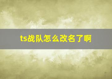 ts战队怎么改名了啊