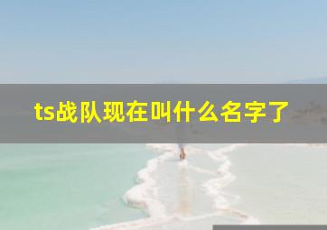 ts战队现在叫什么名字了