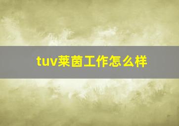 tuv莱茵工作怎么样