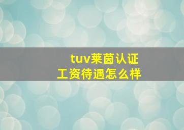 tuv莱茵认证工资待遇怎么样