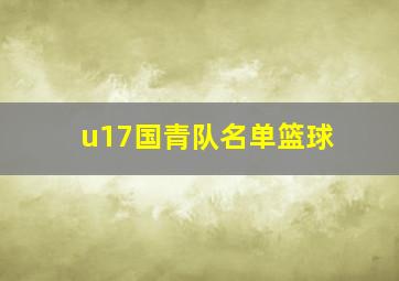 u17国青队名单篮球