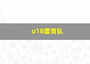 u18国青队