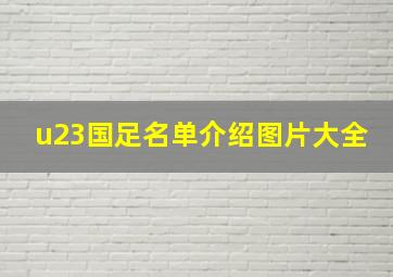 u23国足名单介绍图片大全