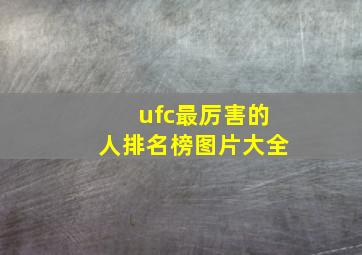 ufc最厉害的人排名榜图片大全