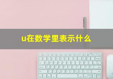 u在数学里表示什么