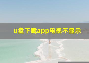 u盘下载app电视不显示